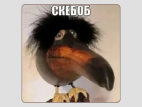 1763300290881.png