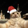 Kirill_Willson