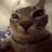 Ilya_Insaid